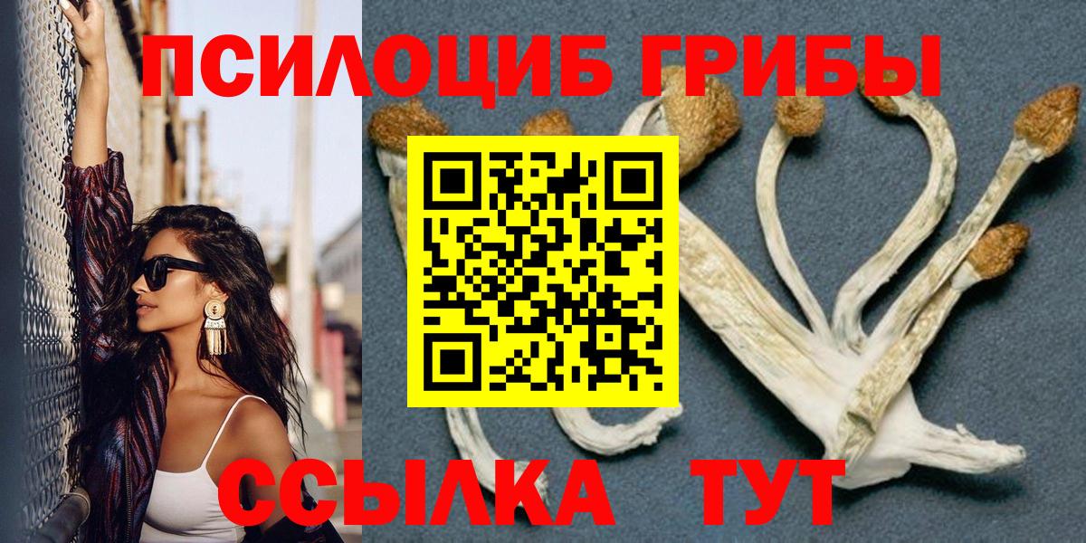 Псилоцибиновые грибы мухоморы  Вход с VPN  Псилоцибиновые грибы GOLDEN TEACHER  Арзамас 