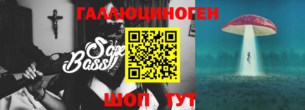 Галлюциногенные грибы Psilocybe Арзамас